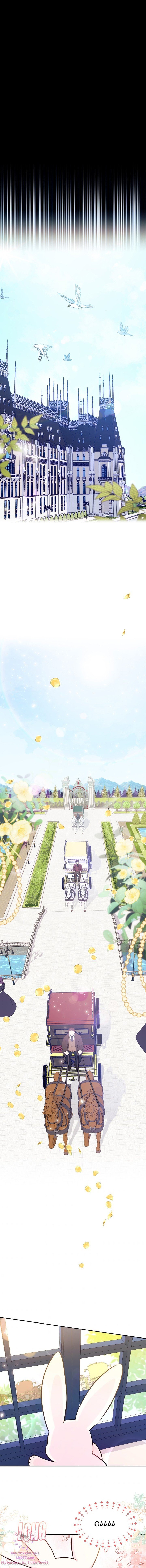 Mối Quan Hệ Cộng Sinh Giữa Báo Đen Và Thỏ Trắng Chapter 16 - Trang 2