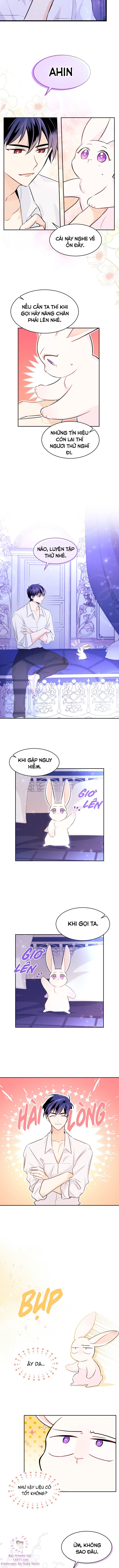Mối Quan Hệ Cộng Sinh Giữa Báo Đen Và Thỏ Trắng Chapter 16 - Trang 2