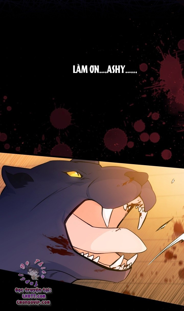 Mối Quan Hệ Cộng Sinh Giữa Báo Đen Và Thỏ Trắng Chapter 28 - Trang 2