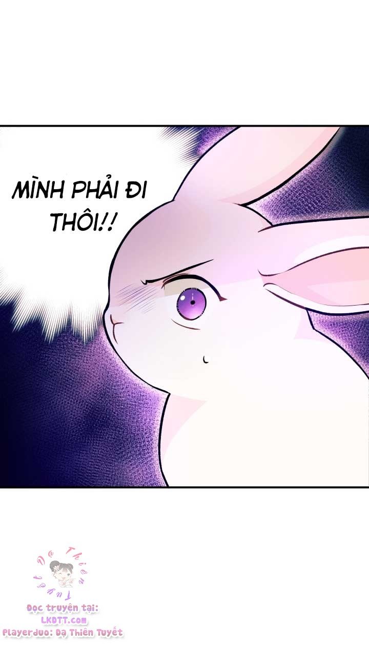 Mối Quan Hệ Cộng Sinh Giữa Báo Đen Và Thỏ Trắng Chapter 3 - Trang 2