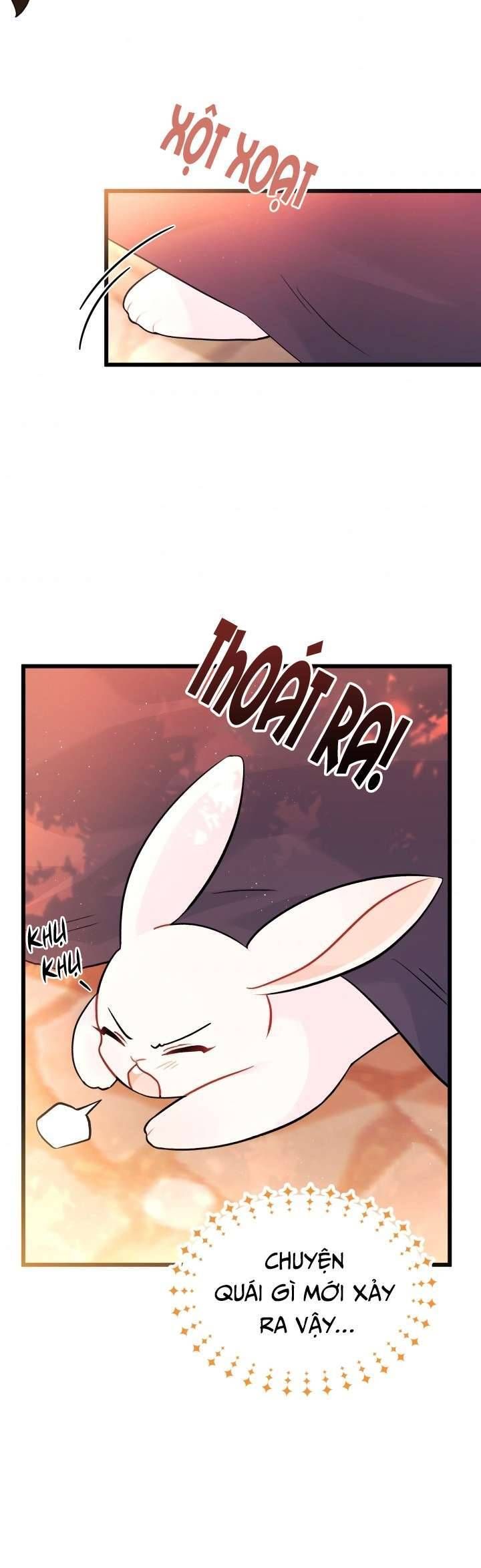 Mối Quan Hệ Cộng Sinh Giữa Báo Đen Và Thỏ Trắng Chapter 33 - Trang 2