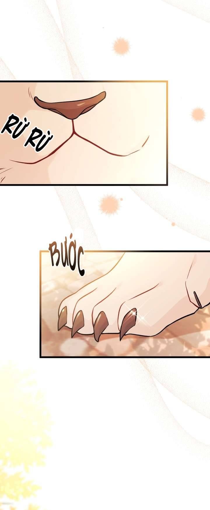 Mối Quan Hệ Cộng Sinh Giữa Báo Đen Và Thỏ Trắng Chapter 33 - Trang 2