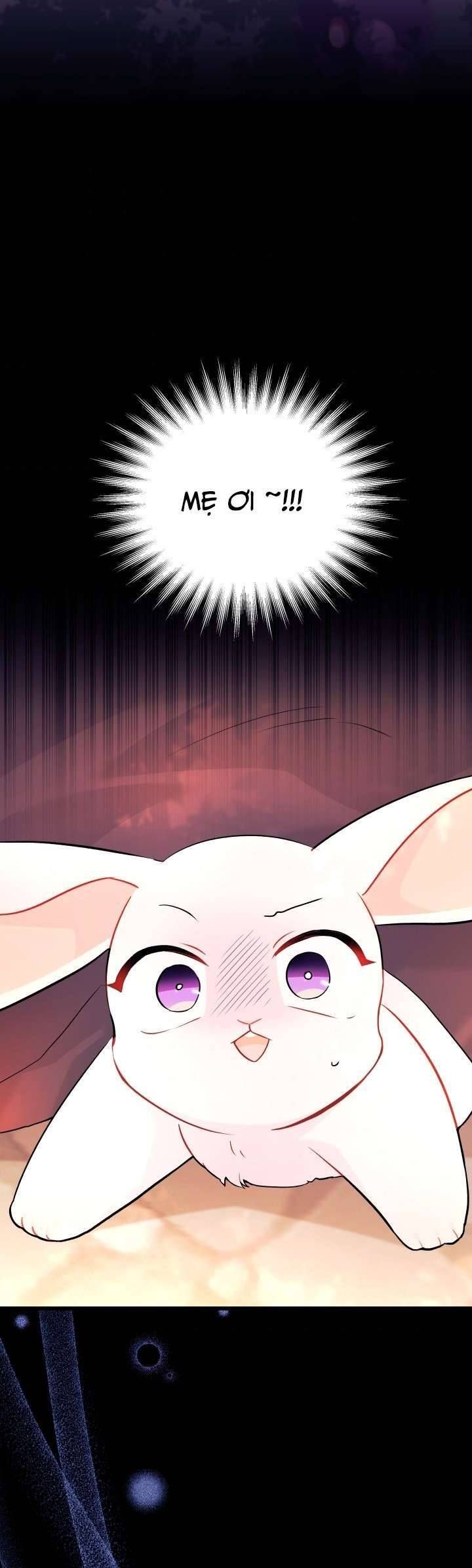 Mối Quan Hệ Cộng Sinh Giữa Báo Đen Và Thỏ Trắng Chapter 33 - Trang 2