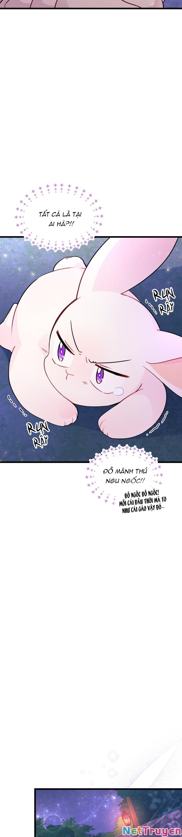 Mối Quan Hệ Cộng Sinh Giữa Báo Đen Và Thỏ Trắng Chapter 34 - Trang 2