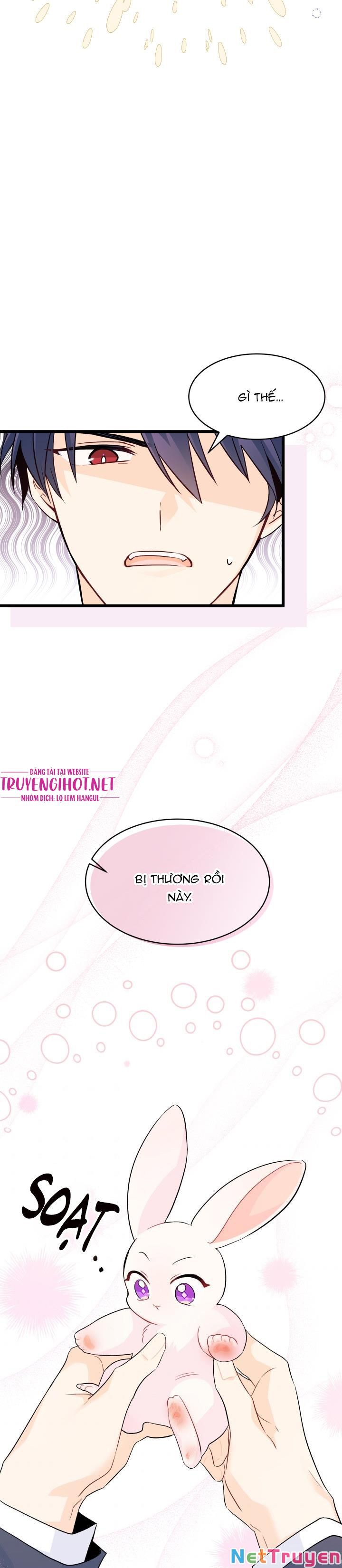 Mối Quan Hệ Cộng Sinh Giữa Báo Đen Và Thỏ Trắng Chapter 34 - Trang 2