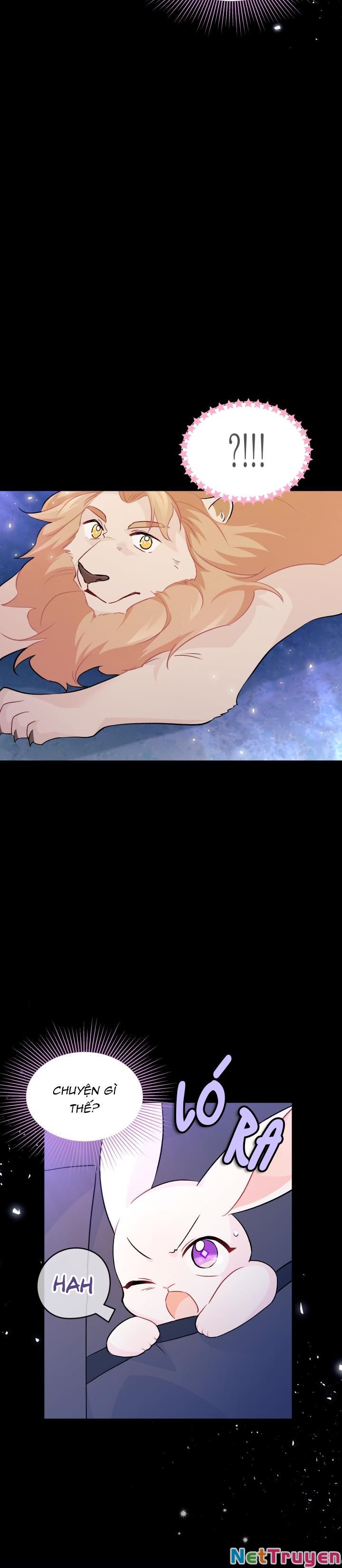 Mối Quan Hệ Cộng Sinh Giữa Báo Đen Và Thỏ Trắng Chapter 34 - Trang 2