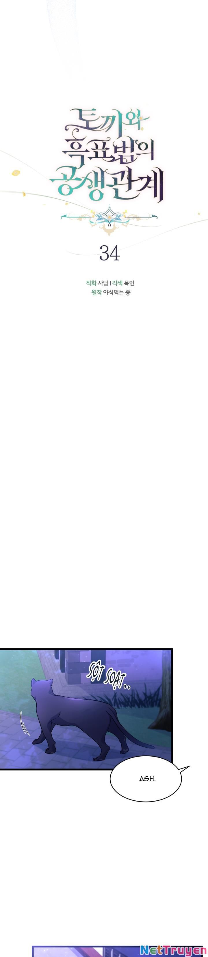 Mối Quan Hệ Cộng Sinh Giữa Báo Đen Và Thỏ Trắng Chapter 34 - Trang 2