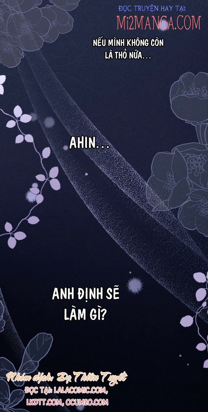 Mối Quan Hệ Cộng Sinh Giữa Báo Đen Và Thỏ Trắng Chapter 37.5 - Trang 2