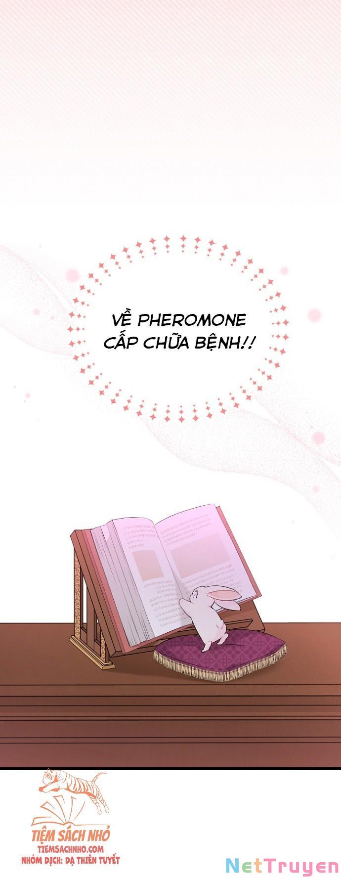 Mối Quan Hệ Cộng Sinh Giữa Báo Đen Và Thỏ Trắng Chapter 47 - Trang 2