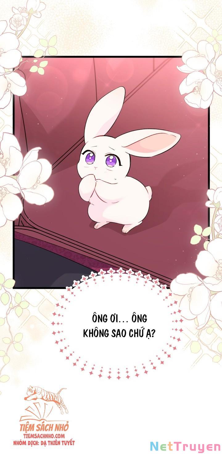 Mối Quan Hệ Cộng Sinh Giữa Báo Đen Và Thỏ Trắng Chapter 48 - Trang 2