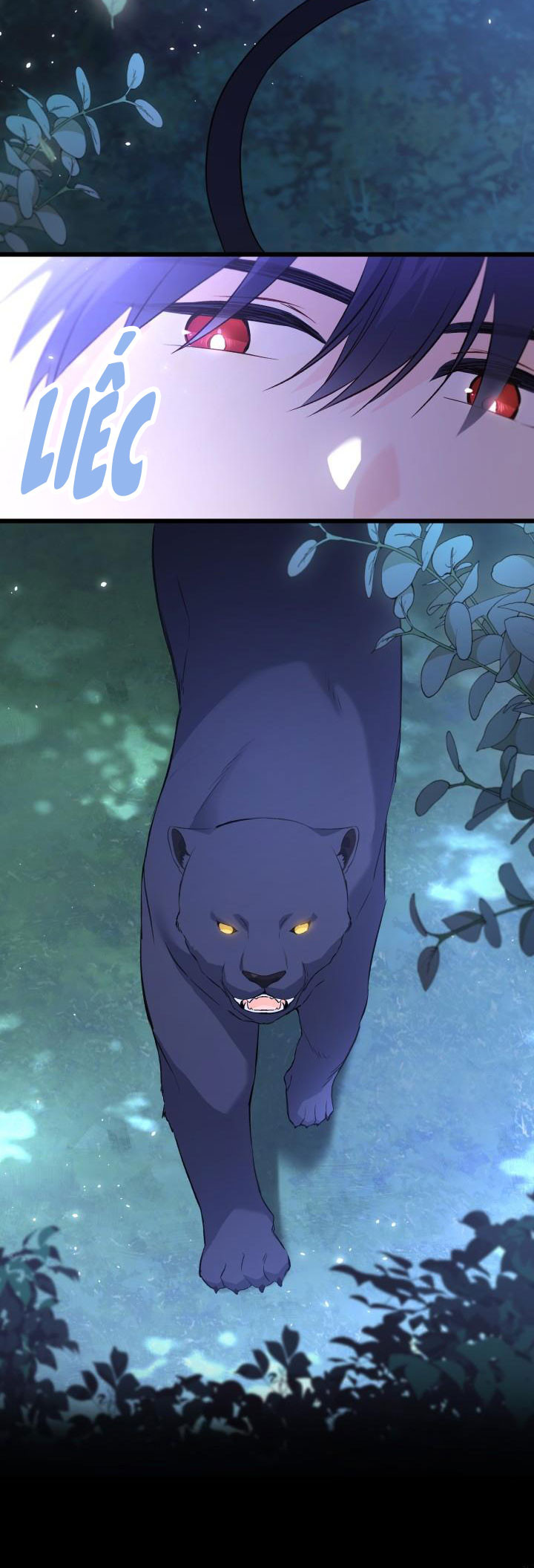 Mối Quan Hệ Cộng Sinh Giữa Báo Đen Và Thỏ Trắng Chapter 51 - Trang 2