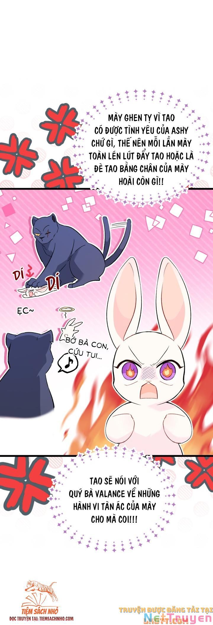 Mối Quan Hệ Cộng Sinh Giữa Báo Đen Và Thỏ Trắng Chapter 58 - Trang 2