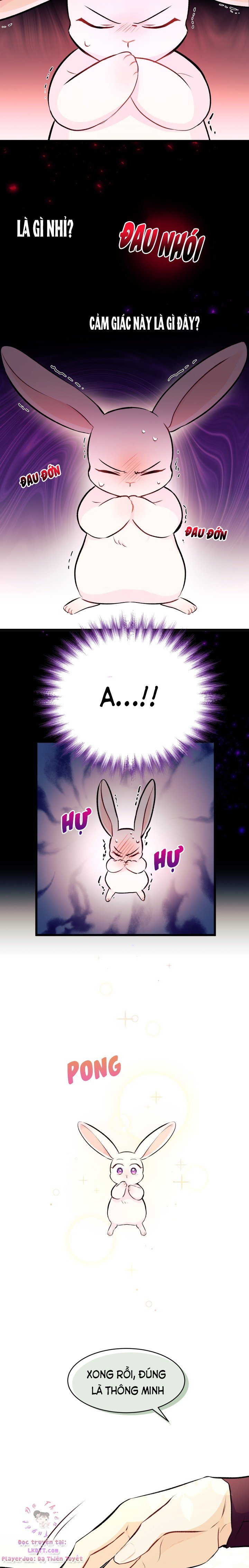 Mối Quan Hệ Cộng Sinh Giữa Báo Đen Và Thỏ Trắng Chapter 6 - Trang 2