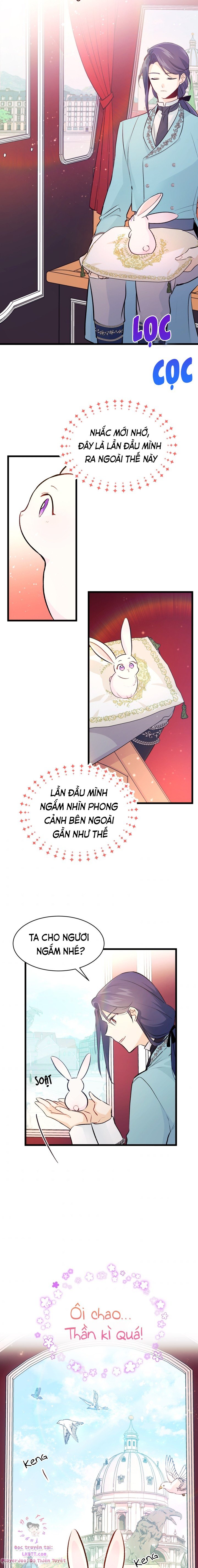 Mối Quan Hệ Cộng Sinh Giữa Báo Đen Và Thỏ Trắng Chapter 6 - Trang 2