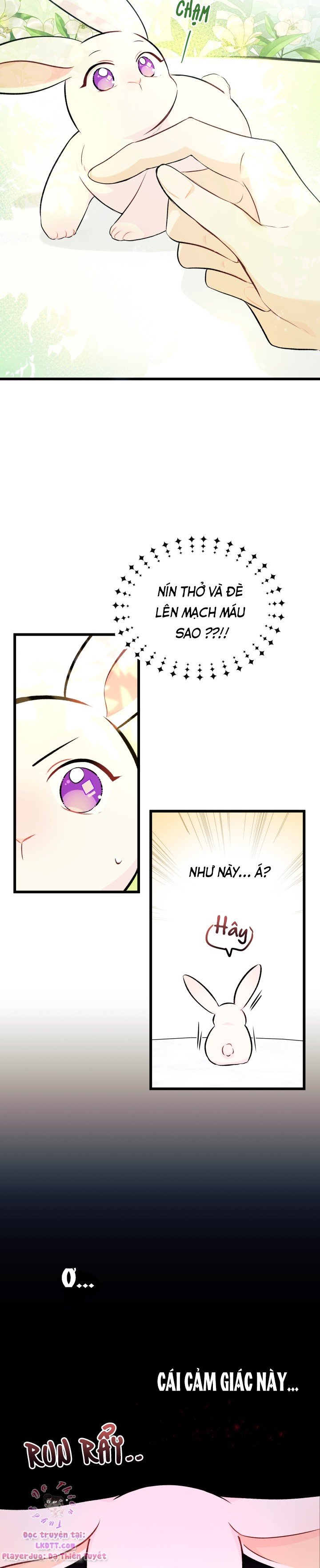Mối Quan Hệ Cộng Sinh Giữa Báo Đen Và Thỏ Trắng Chapter 6 - Trang 2