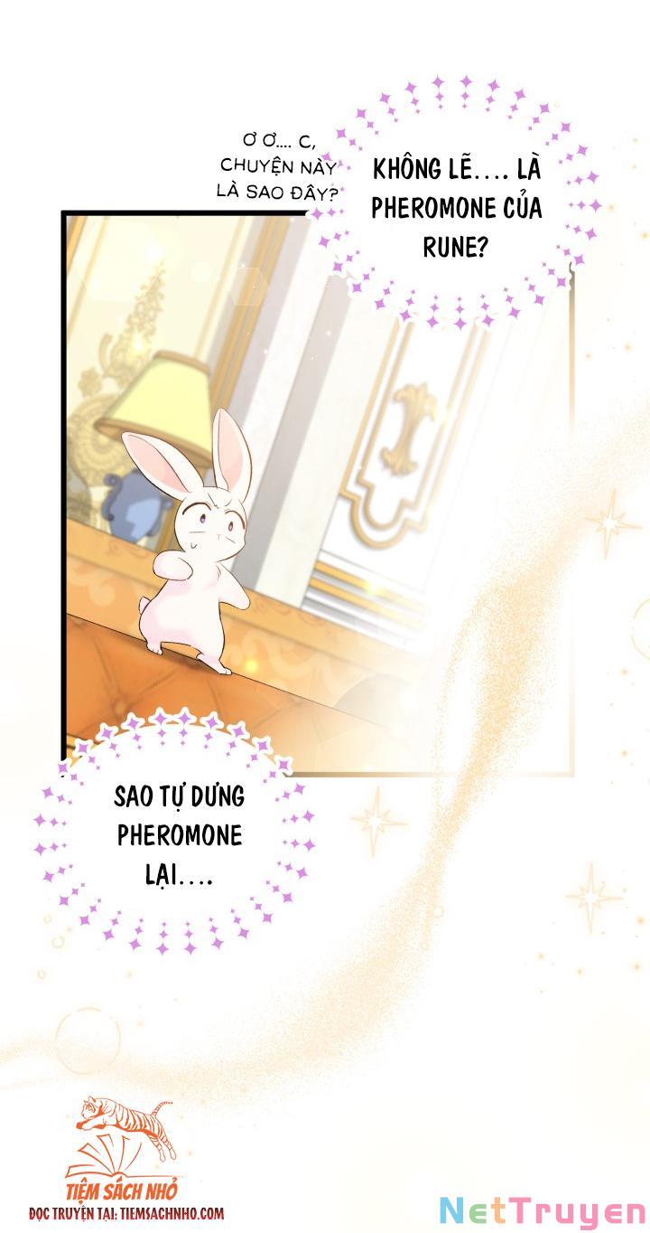 Mối Quan Hệ Cộng Sinh Giữa Báo Đen Và Thỏ Trắng Chapter 63 - Trang 2