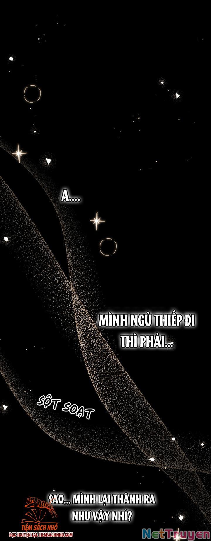 Mối Quan Hệ Cộng Sinh Giữa Báo Đen Và Thỏ Trắng Chapter 63 - Trang 2