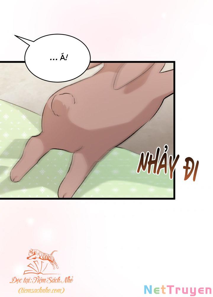 Mối Quan Hệ Cộng Sinh Giữa Báo Đen Và Thỏ Trắng Chapter 76 - Trang 2