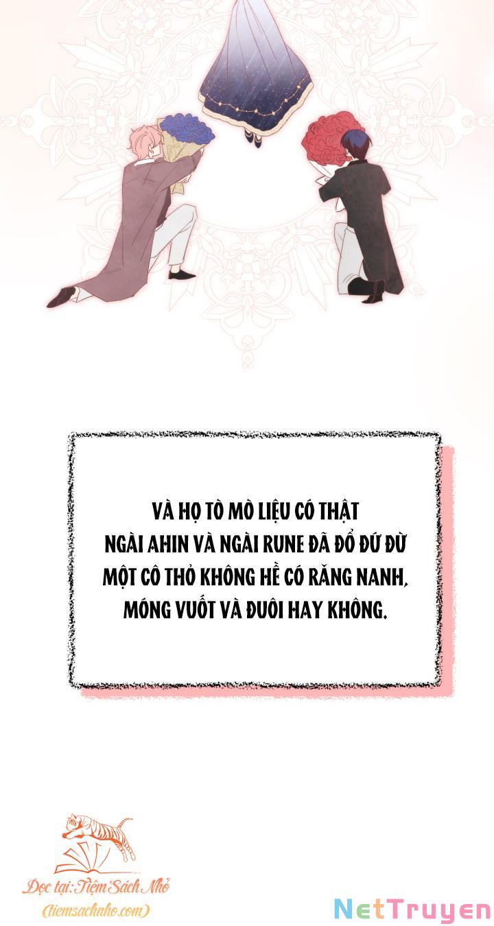 Mối Quan Hệ Cộng Sinh Giữa Báo Đen Và Thỏ Trắng Chapter 76 - Trang 2