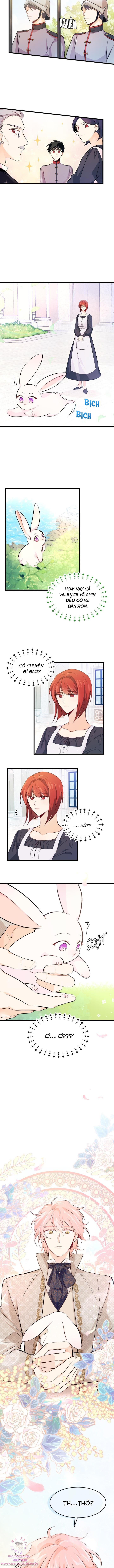 Mối Quan Hệ Cộng Sinh Giữa Báo Đen Và Thỏ Trắng Chapter 8 - Trang 2