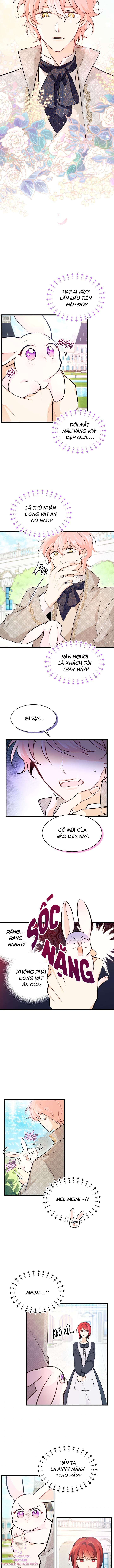 Mối Quan Hệ Cộng Sinh Giữa Báo Đen Và Thỏ Trắng Chapter 8 - Trang 2
