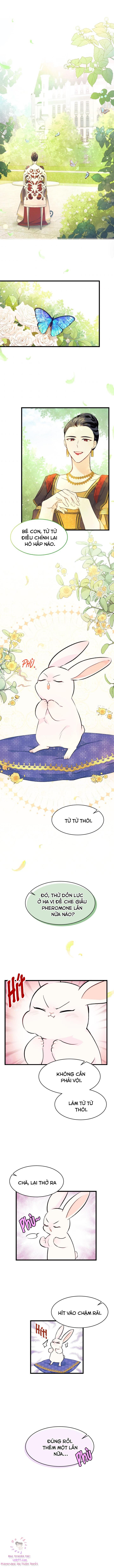 Mối Quan Hệ Cộng Sinh Giữa Báo Đen Và Thỏ Trắng Chapter 8 - Trang 2