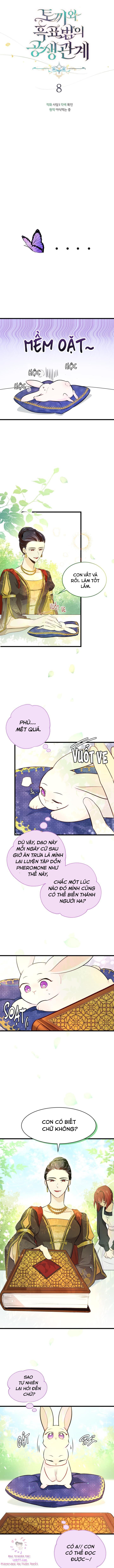 Mối Quan Hệ Cộng Sinh Giữa Báo Đen Và Thỏ Trắng Chapter 8 - Trang 2