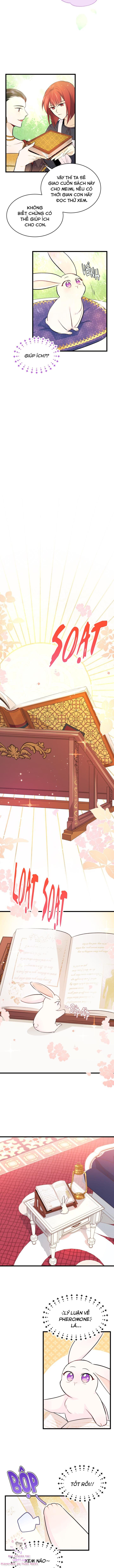 Mối Quan Hệ Cộng Sinh Giữa Báo Đen Và Thỏ Trắng Chapter 8 - Trang 2