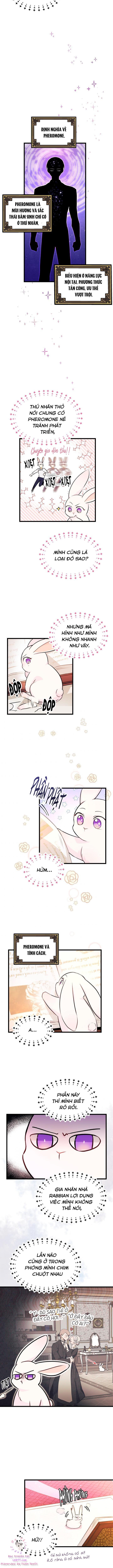 Mối Quan Hệ Cộng Sinh Giữa Báo Đen Và Thỏ Trắng Chapter 8 - Trang 2