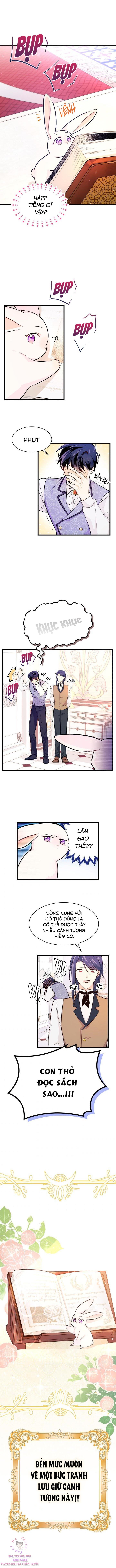 Mối Quan Hệ Cộng Sinh Giữa Báo Đen Và Thỏ Trắng Chapter 8 - Trang 2