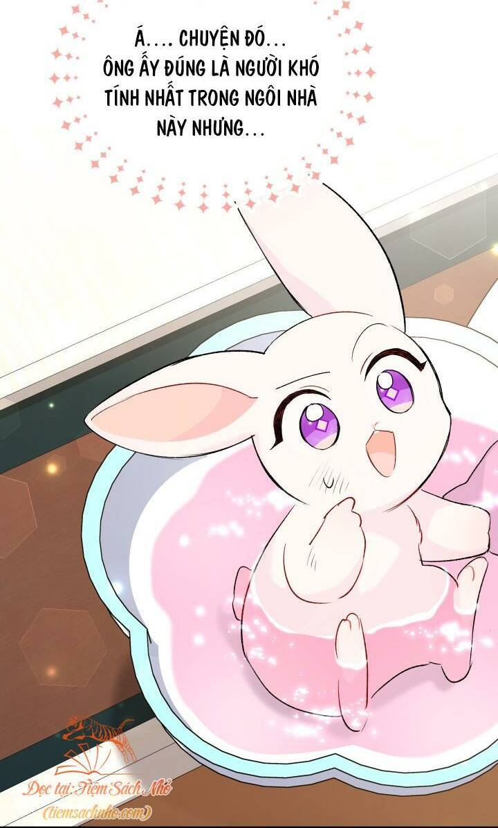 Mối Quan Hệ Cộng Sinh Giữa Báo Đen Và Thỏ Trắng Chapter 84 - Trang 2