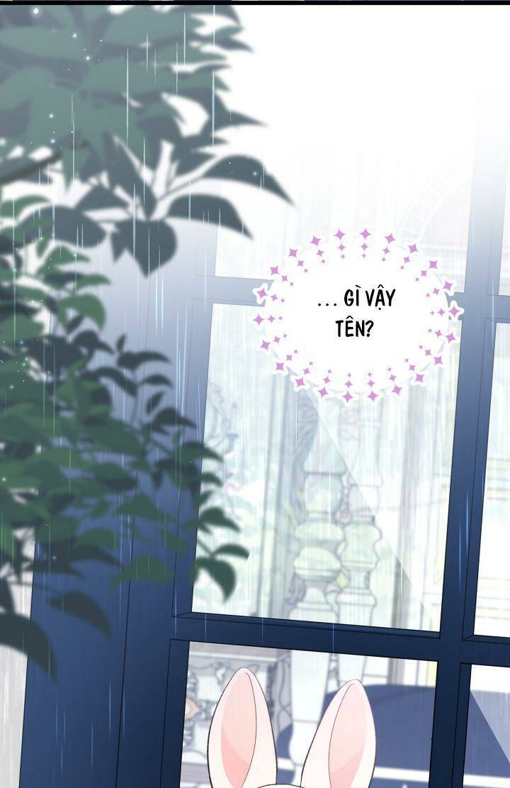 Mối Quan Hệ Cộng Sinh Giữa Báo Đen Và Thỏ Trắng Chapter 84 - Trang 2