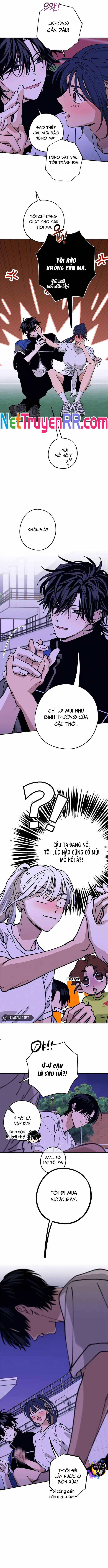 Mối Quan Hệ Đặc Biệt Chapter 33 - Trang 2