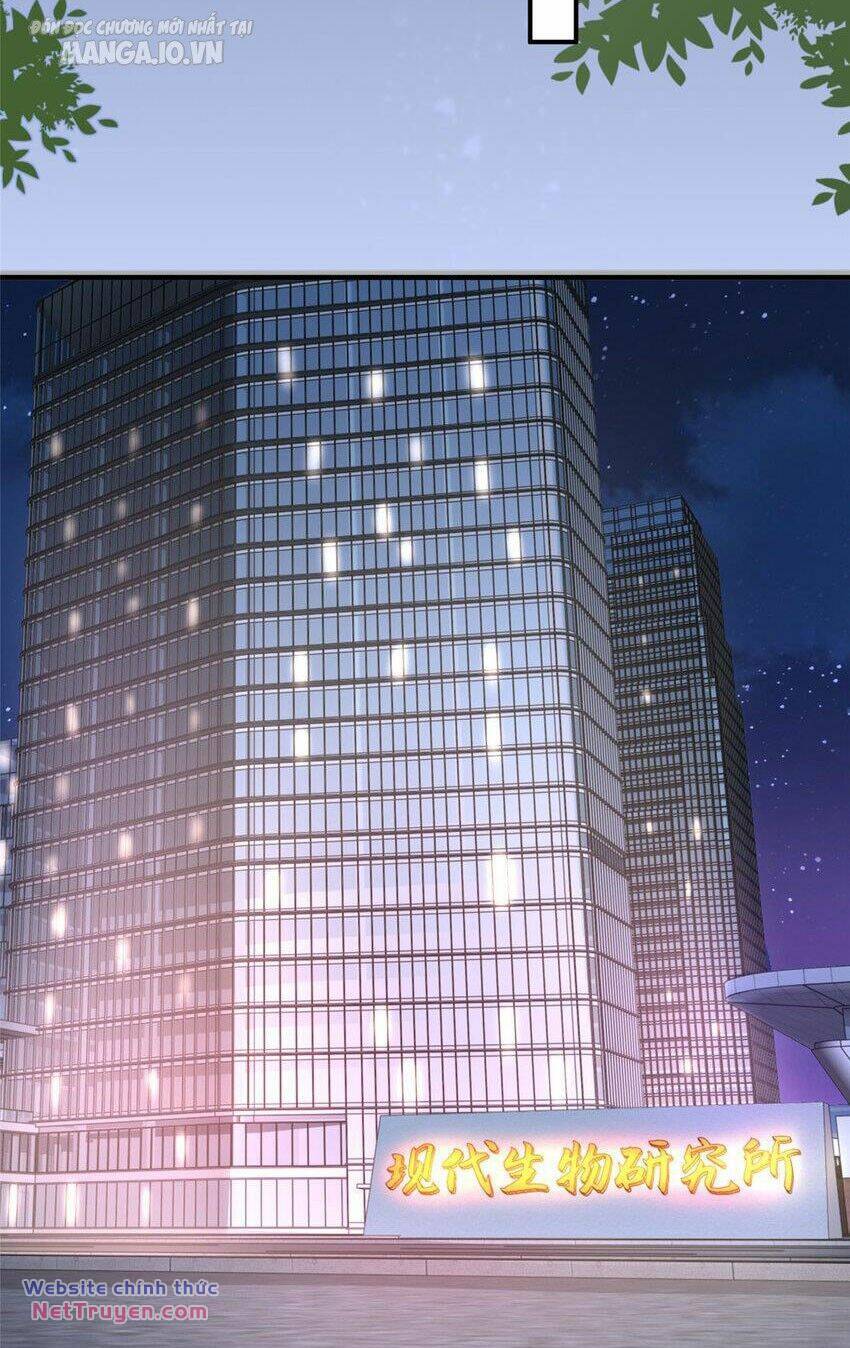 Mỗi Tuần Ta Có Một Nghề Nghiệp Mới Chapter 517 - Trang 2