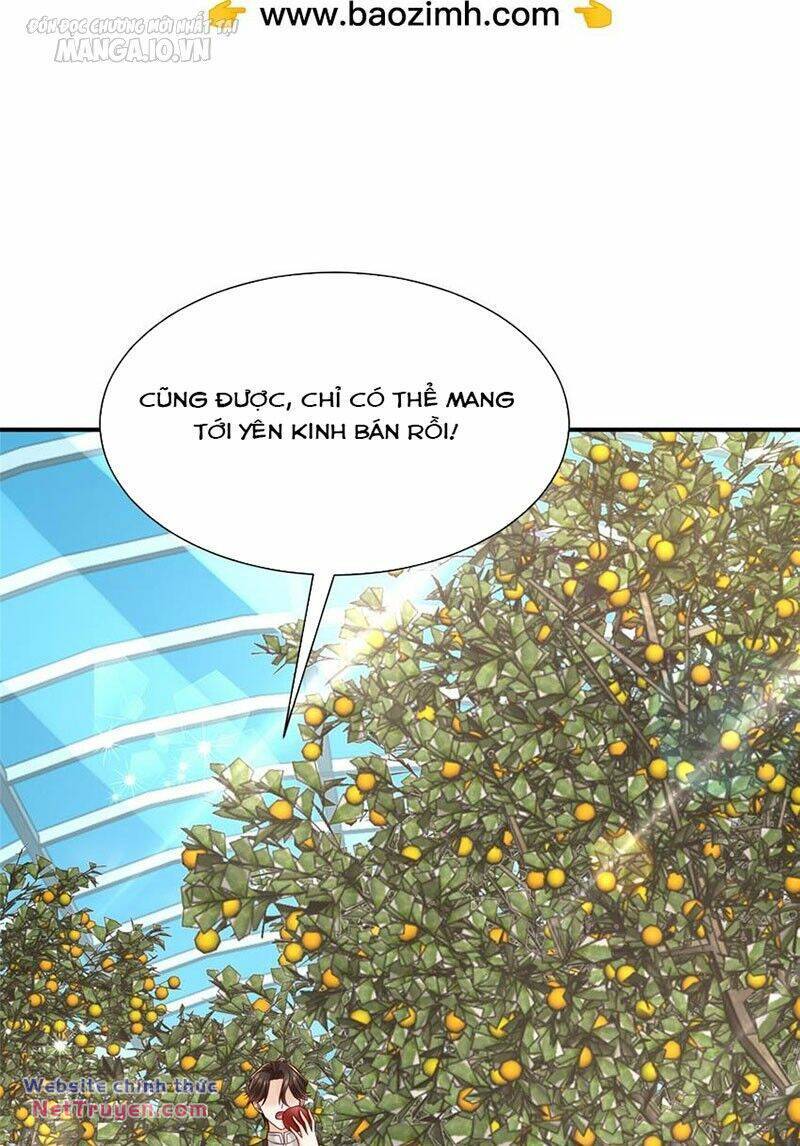 Mỗi Tuần Ta Có Một Nghề Nghiệp Mới Chapter 521 - Trang 2