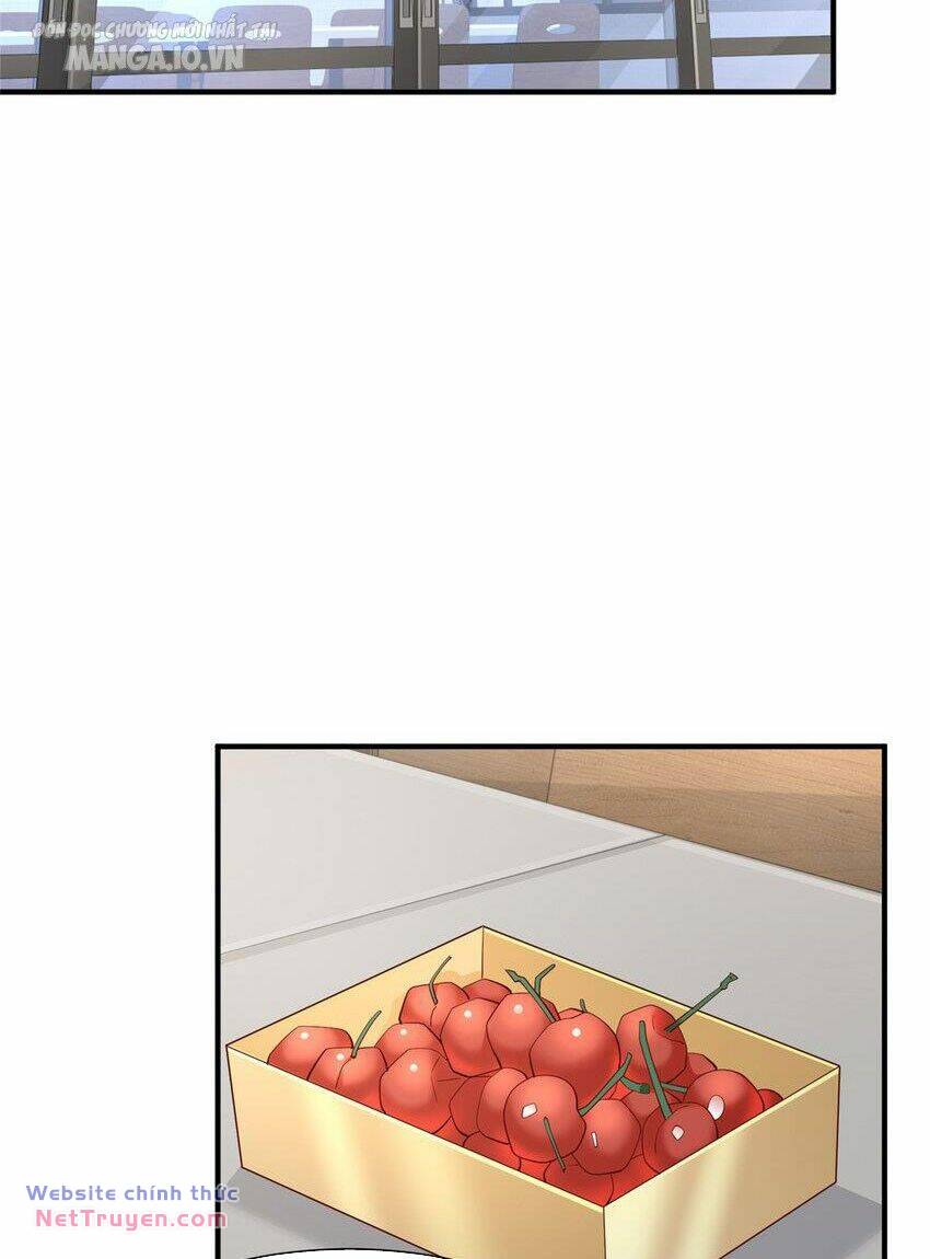 Mỗi Tuần Ta Có Một Nghề Nghiệp Mới Chapter 526 - Trang 2