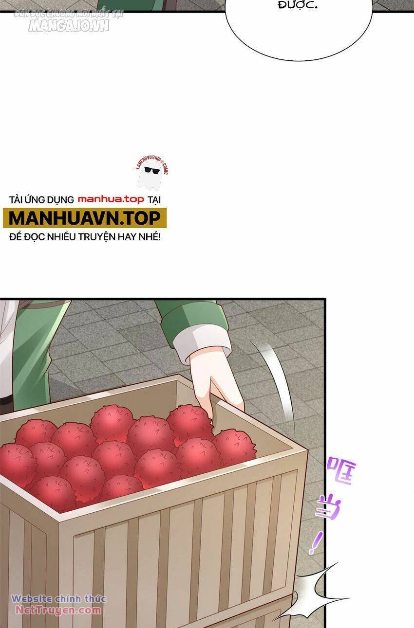 Mỗi Tuần Ta Có Một Nghề Nghiệp Mới Chapter 533 - Trang 2