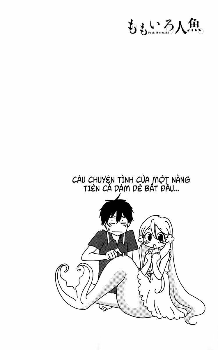 Momoiro Ningyo – Tiên Cá Tóc Hồng Chapter 1 - Trang 2