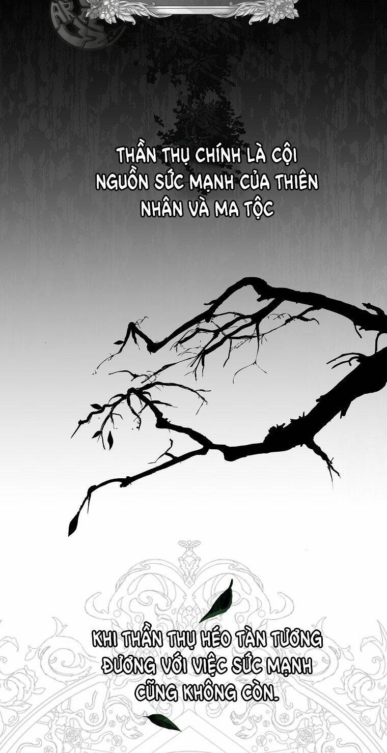 Một Đêm Sâu Đậm Của Adeline Chapter 5 - Trang 2