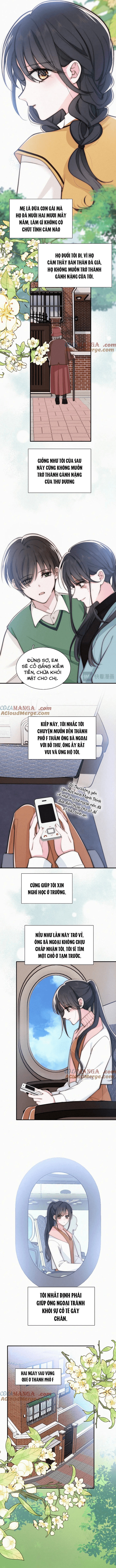 Một Lòng Cưng Chiều Chapter 71 - Trang 2