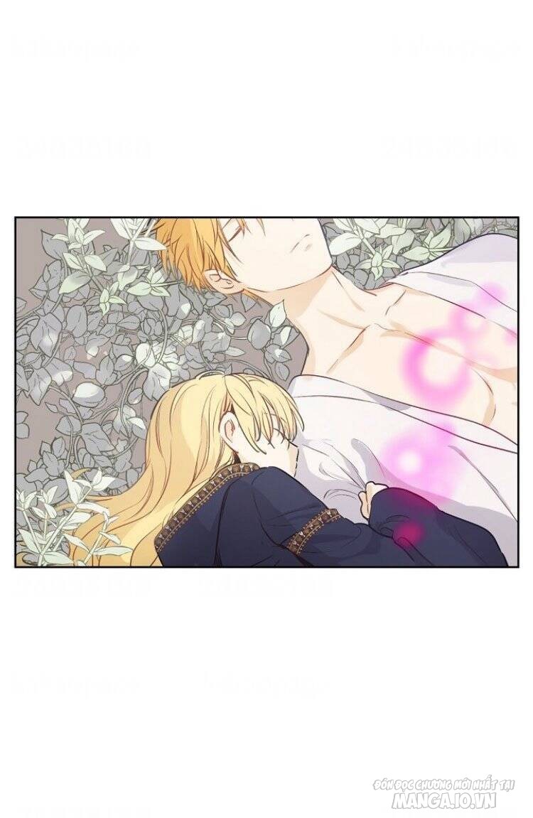 Một Ngày Nọ Tôi Bỗng Thành Nàng Công Chúa Chapter 101 - Trang 2