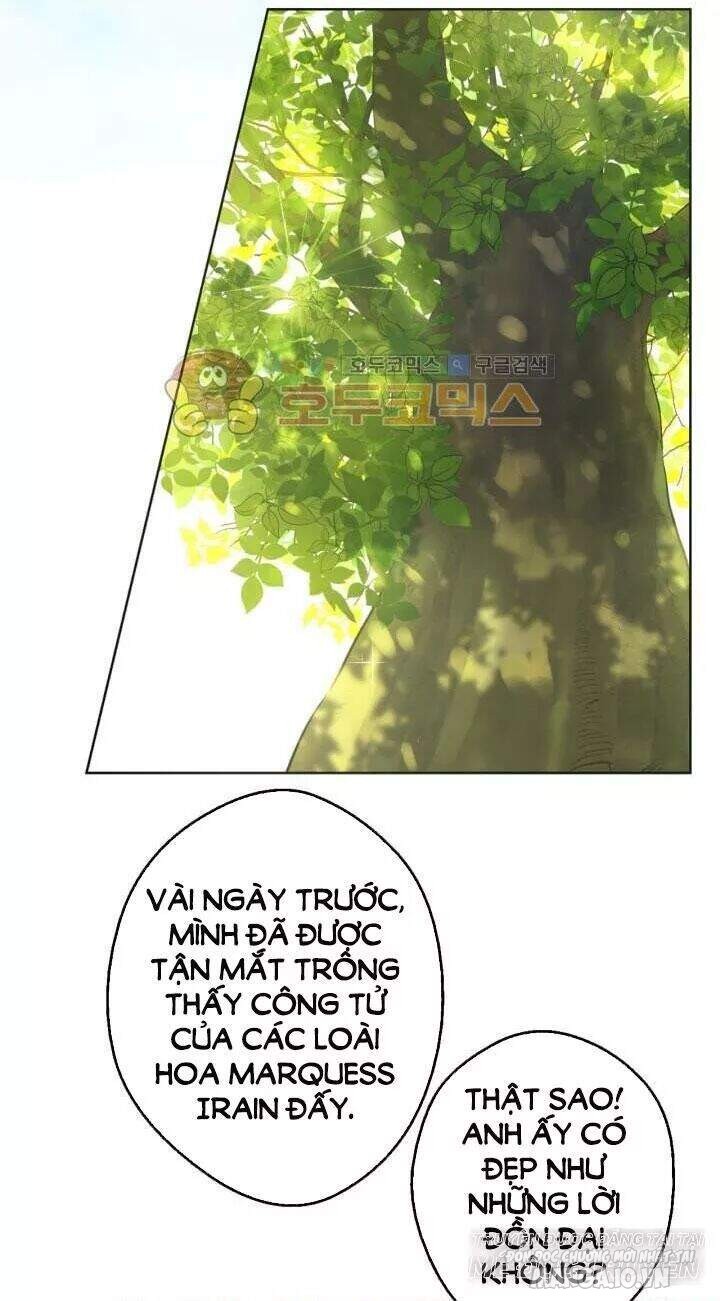 Một Ngày Nọ Tôi Bỗng Thành Nàng Công Chúa Chapter 32 - Trang 2