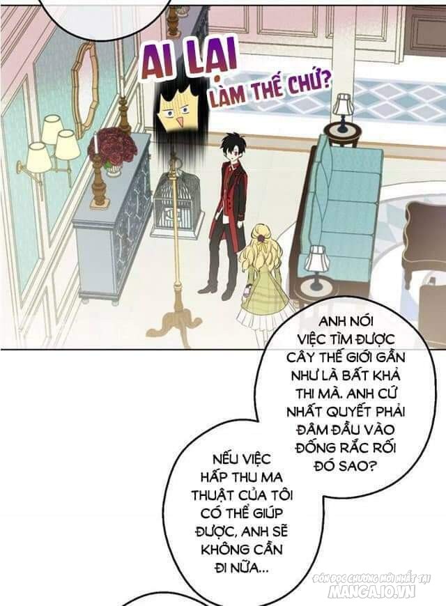 Một Ngày Nọ Tôi Bỗng Thành Nàng Công Chúa Chapter 41 - Trang 2