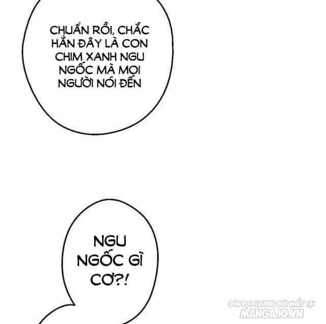 Một Ngày Nọ Tôi Bỗng Thành Nàng Công Chúa Chapter 41 - Trang 2