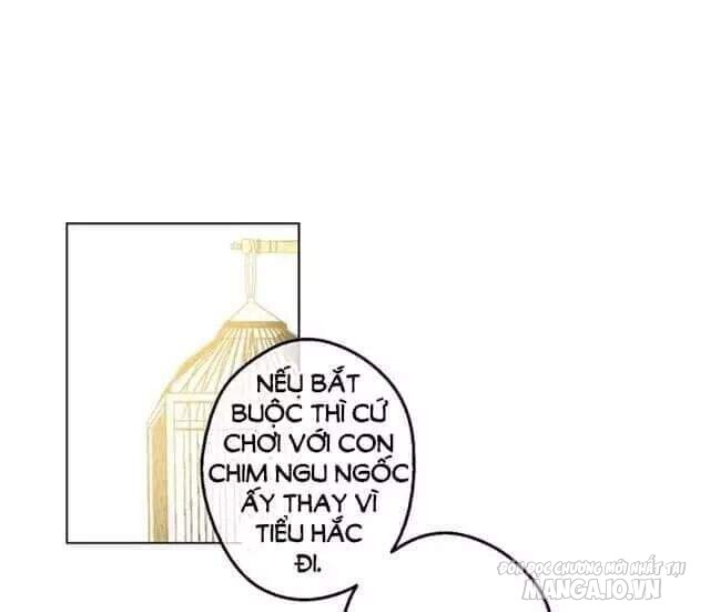 Một Ngày Nọ Tôi Bỗng Thành Nàng Công Chúa Chapter 42 - Trang 2