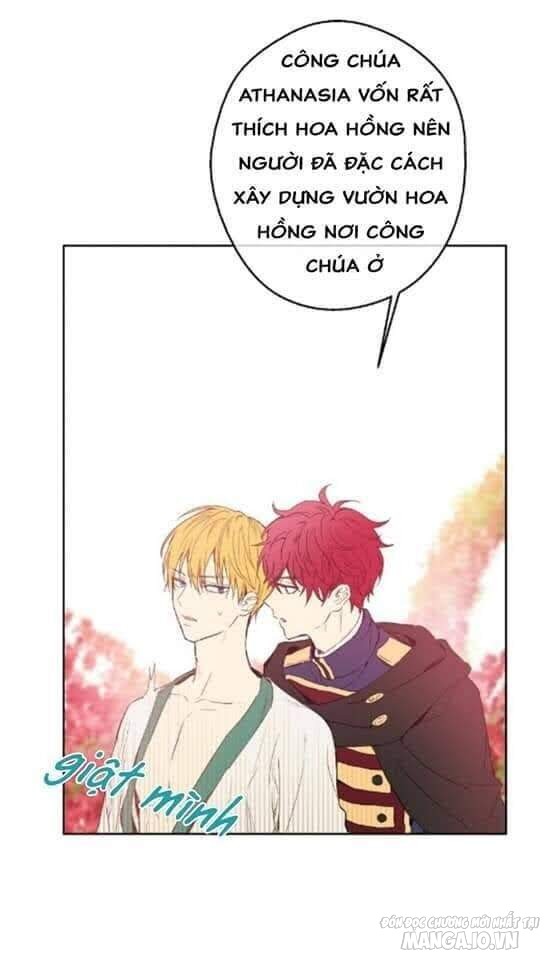 Một Ngày Nọ Tôi Bỗng Thành Nàng Công Chúa Chapter 48 - Trang 2