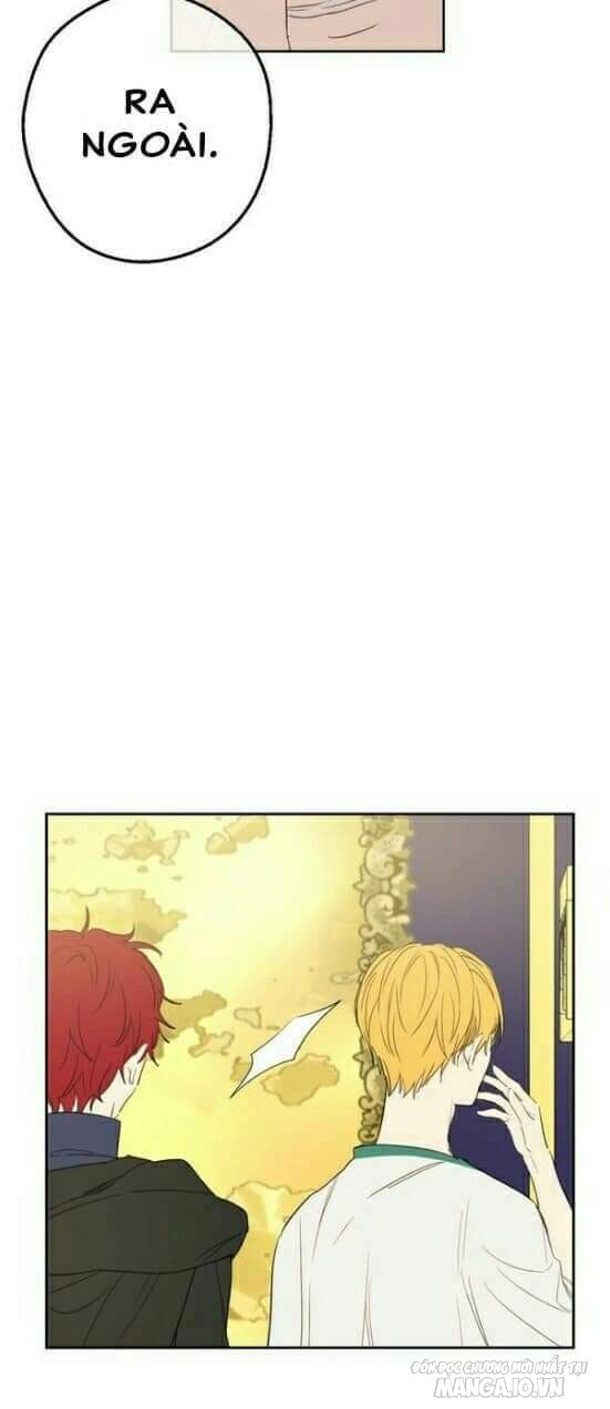 Một Ngày Nọ Tôi Bỗng Thành Nàng Công Chúa Chapter 49 - Trang 2