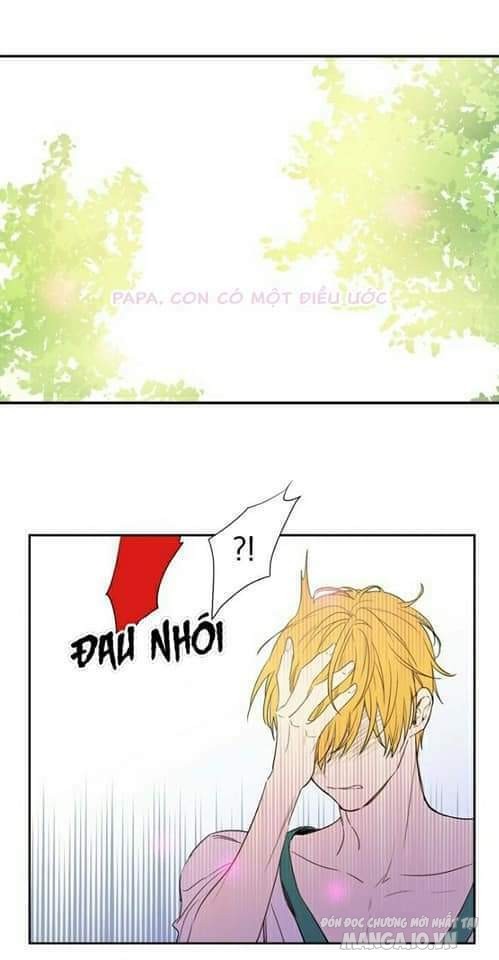 Một Ngày Nọ Tôi Bỗng Thành Nàng Công Chúa Chapter 49 - Trang 2