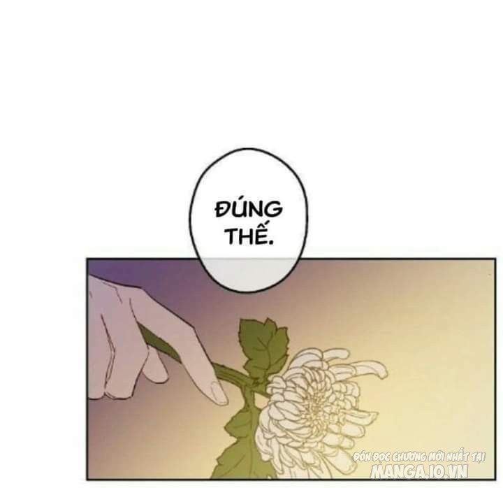 Một Ngày Nọ Tôi Bỗng Thành Nàng Công Chúa Chapter 55 - Trang 2