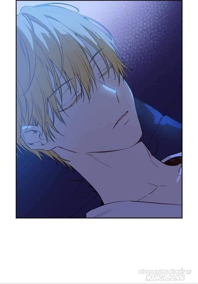 Một Ngày Nọ Tôi Bỗng Thành Nàng Công Chúa Chapter 56 - Trang 2